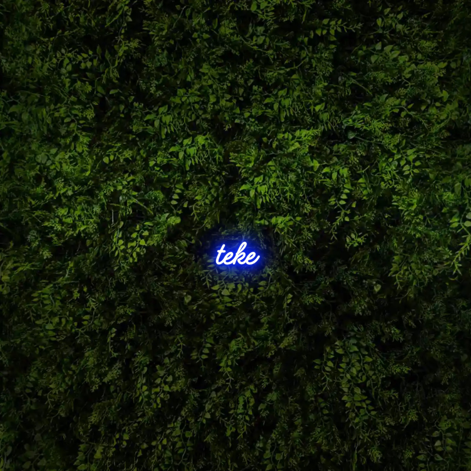 teke – Neon Sign
