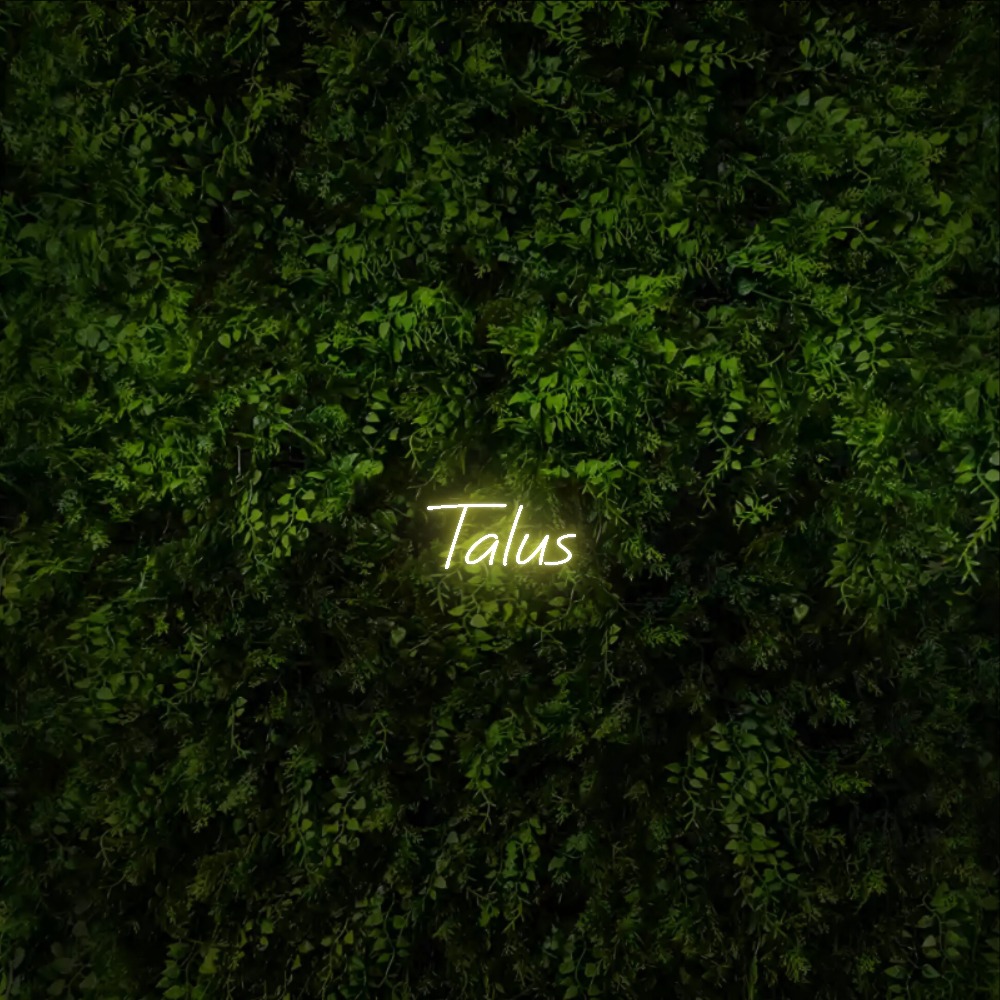 Talus – Neon Sign