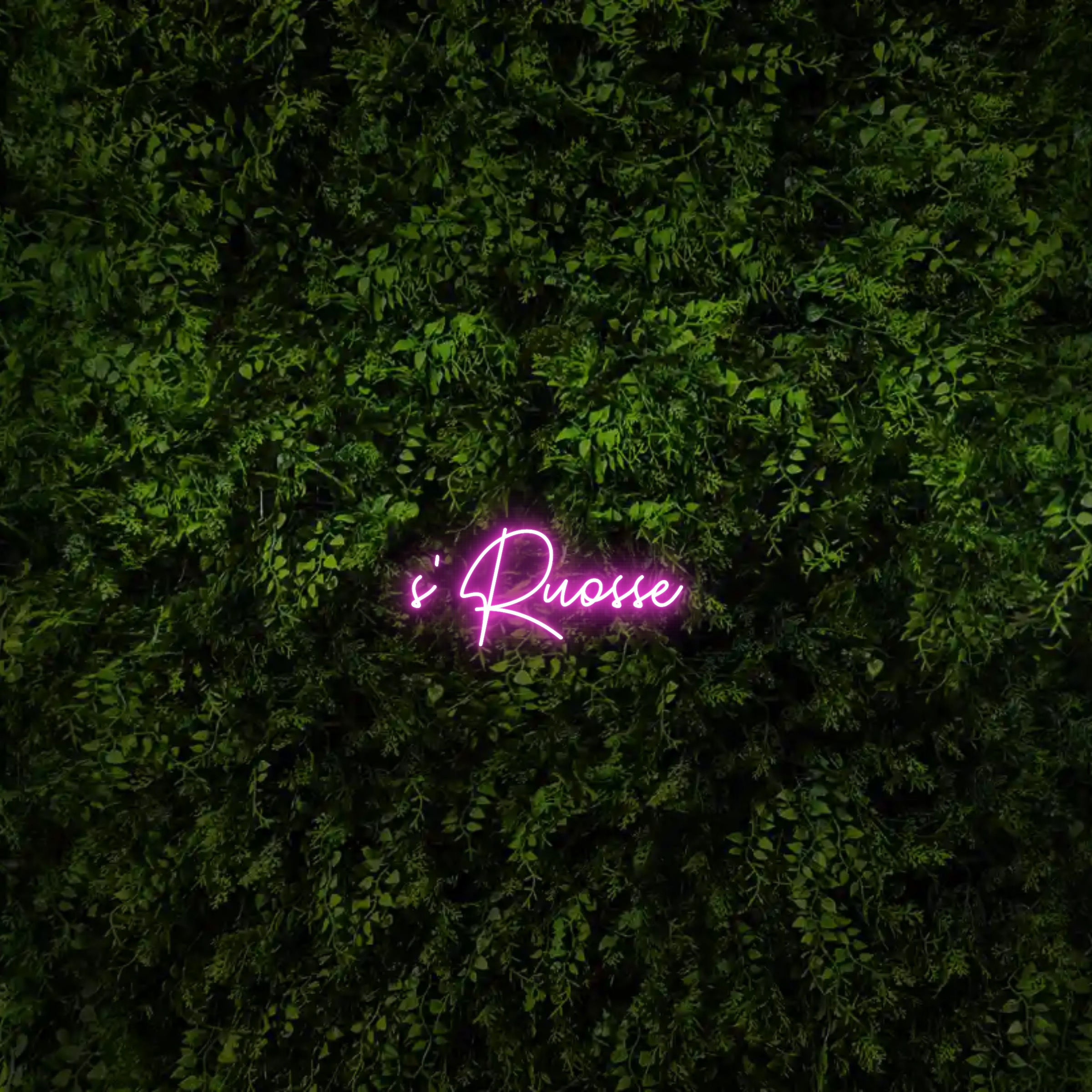 s‘ Ruosse – Neon Sign