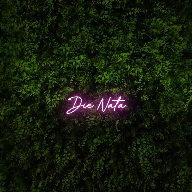 Die Nata – Neon Sign
