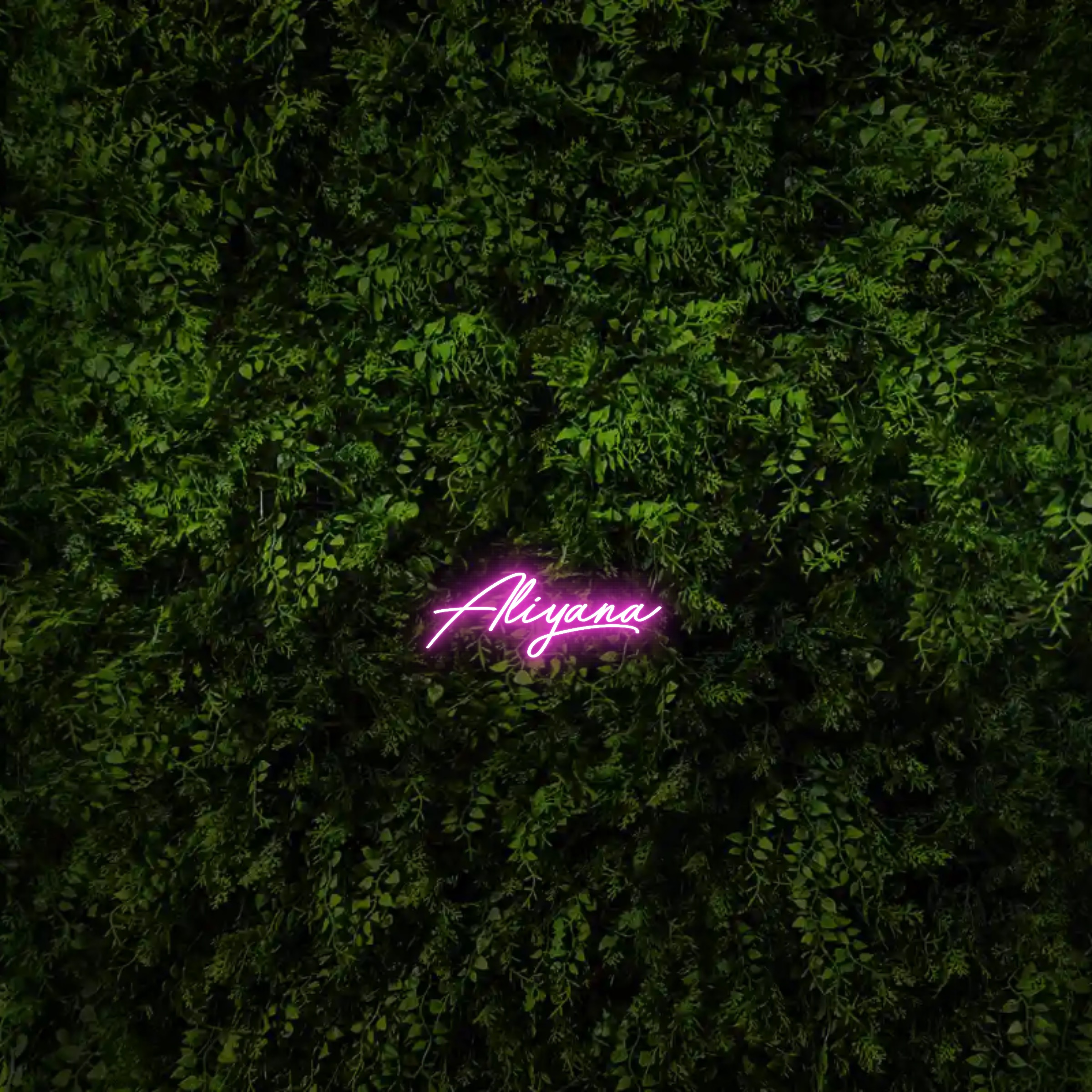 Aliyana – Neon Sign