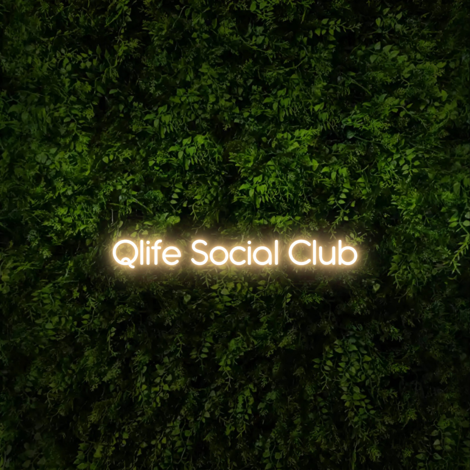 Qlife Social Club – Neon Sign