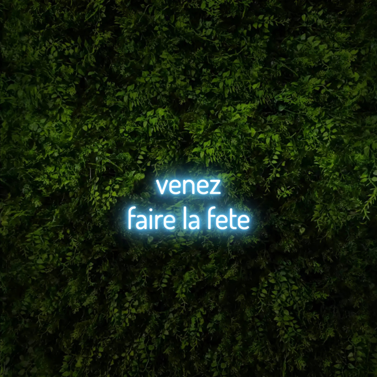venez 
faire la fete – Neon Sign