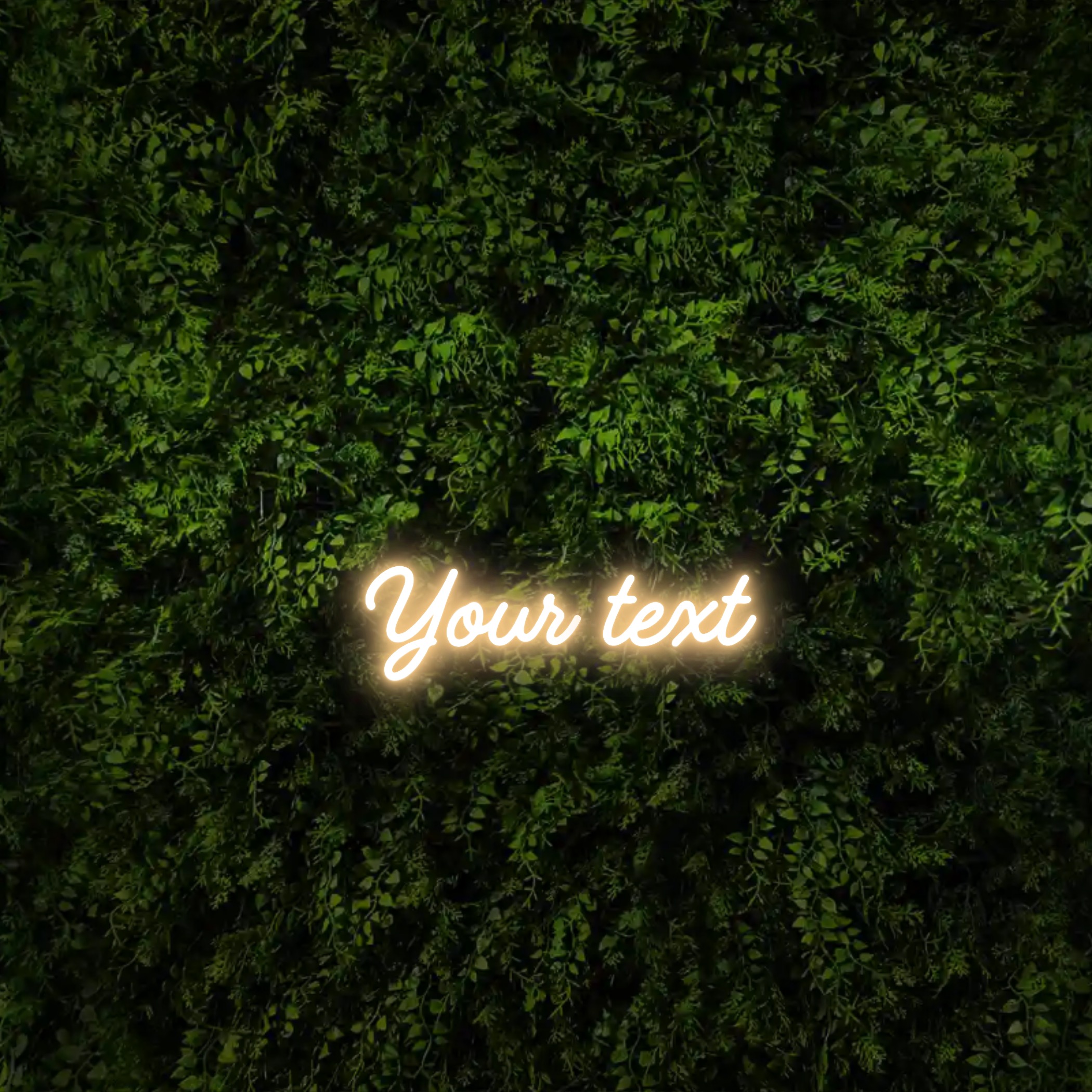 Your text – Neon Sign