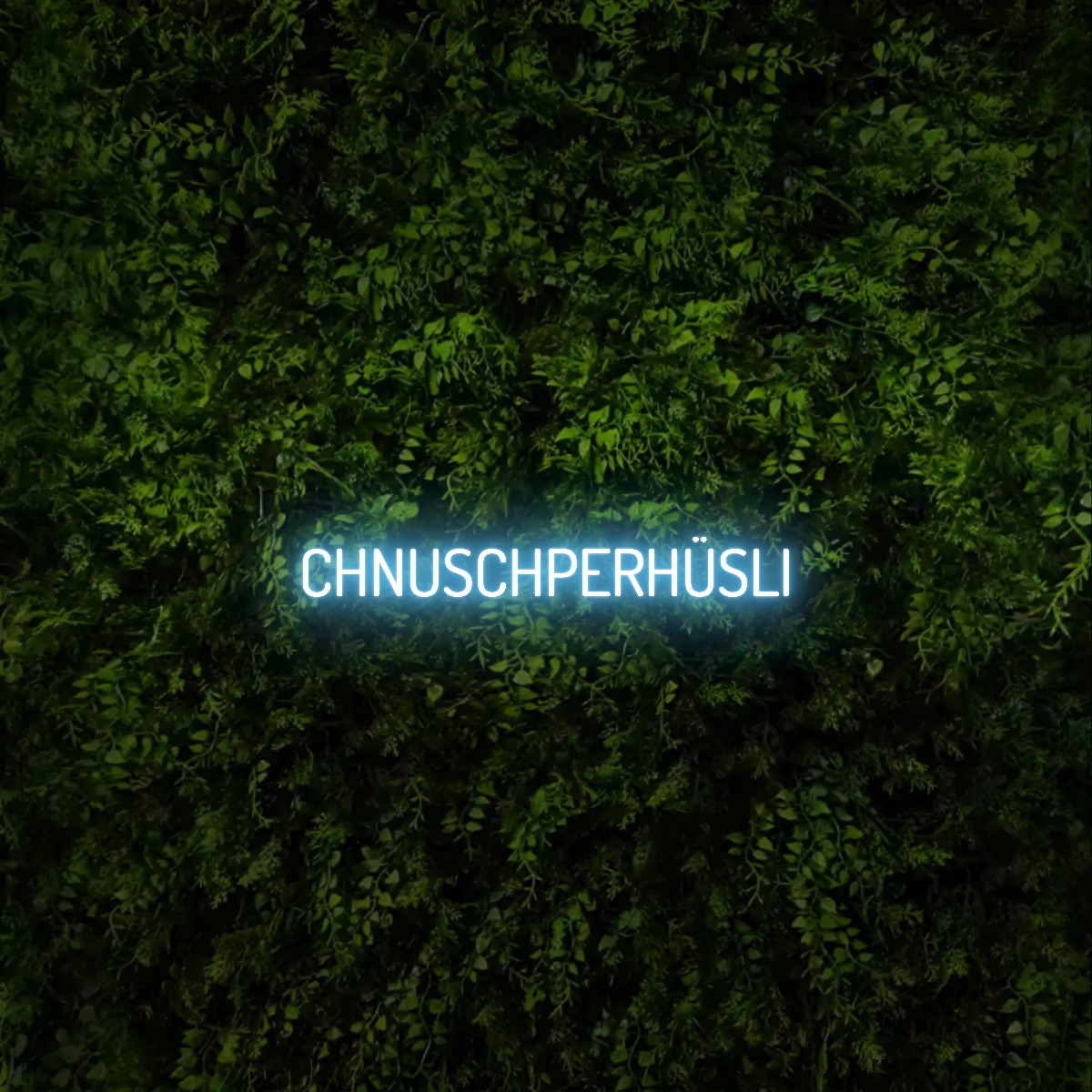 CHNUSCHPERHÜSLI – Neon Sign