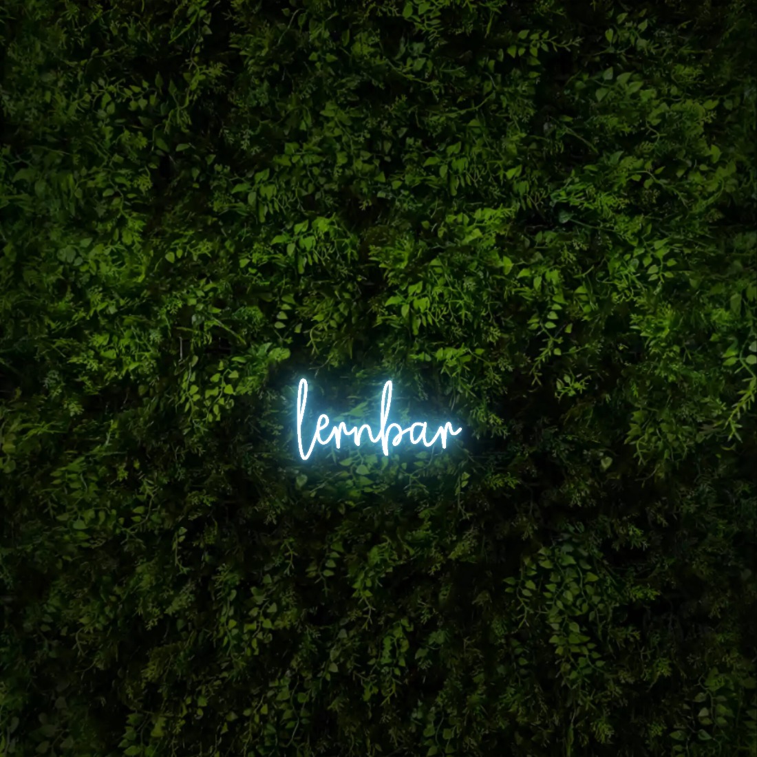 lernbar – Neon Sign