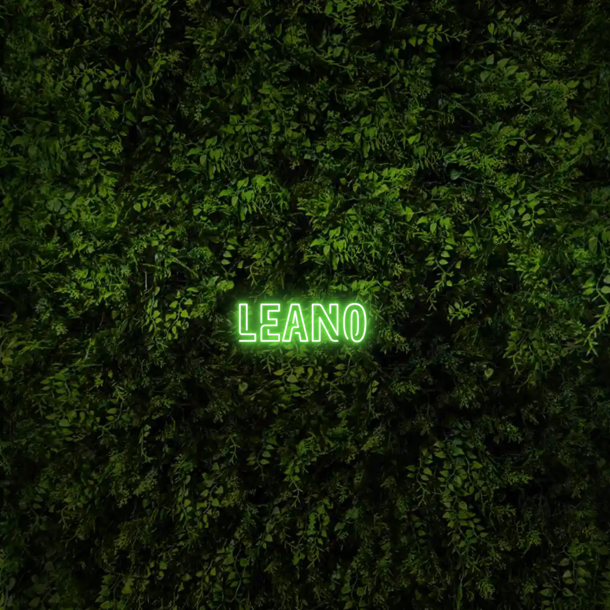 Leano – Neon Sign