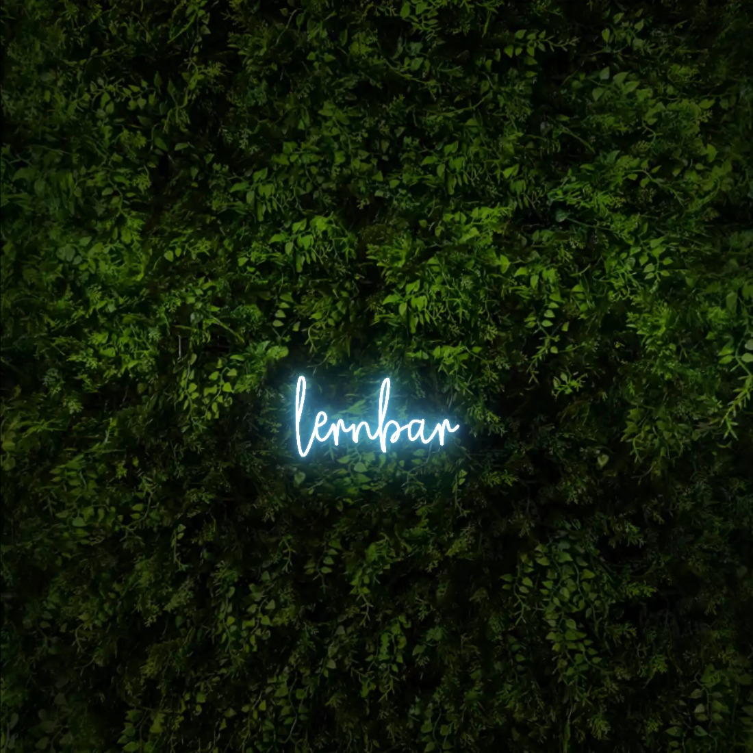 lernbar – Neon Sign