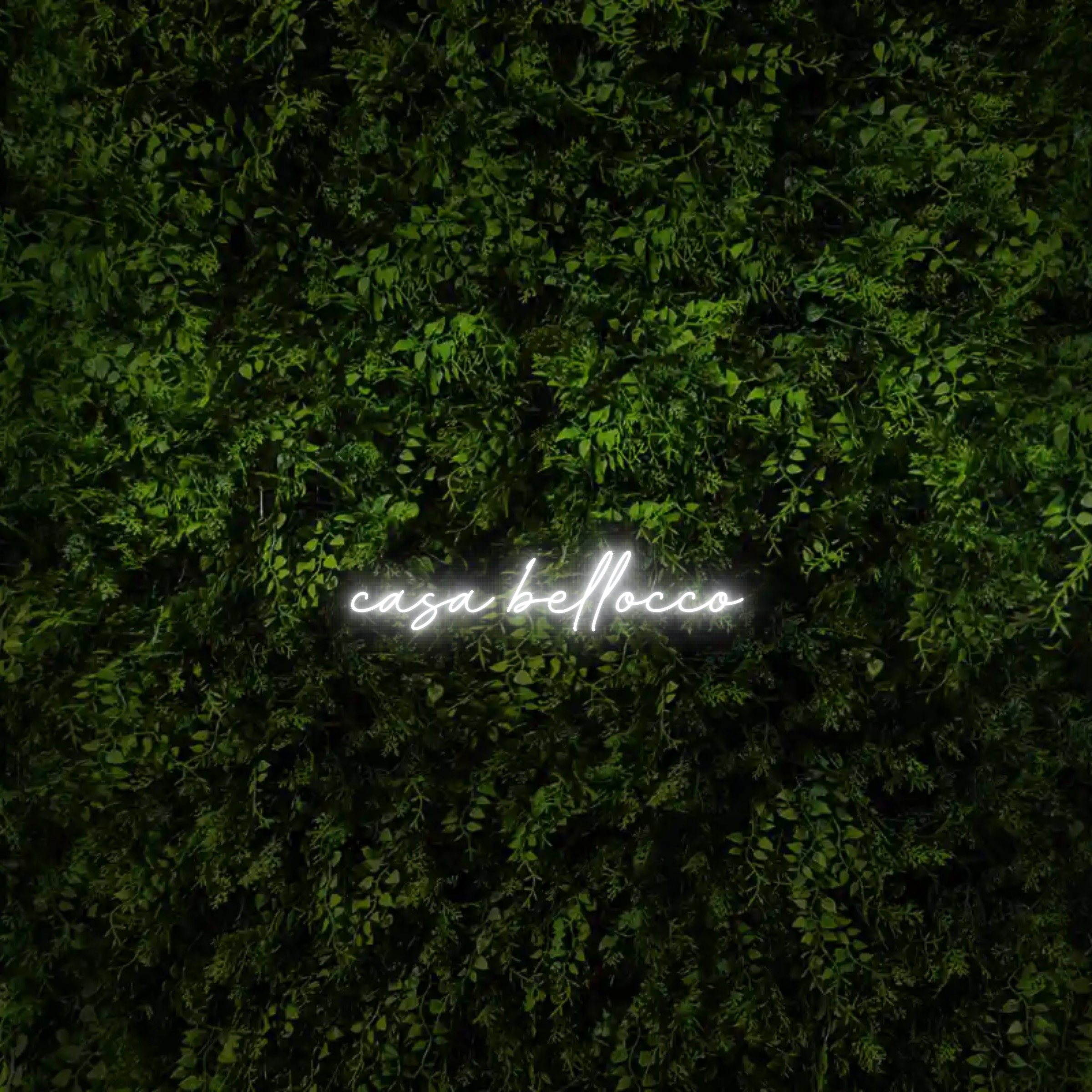 casa bellocco – Neon Sign