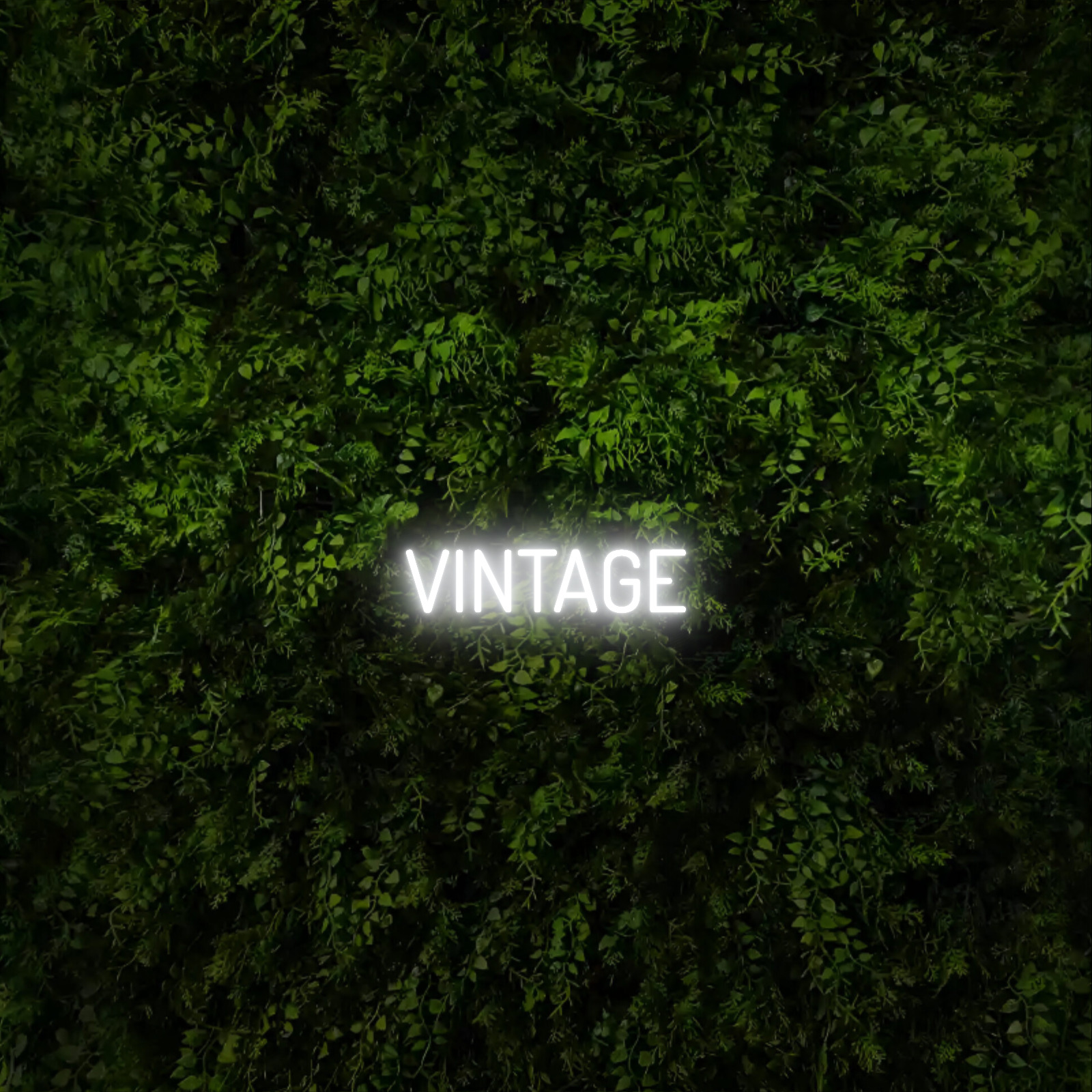 VINTAGE – Neon Sign