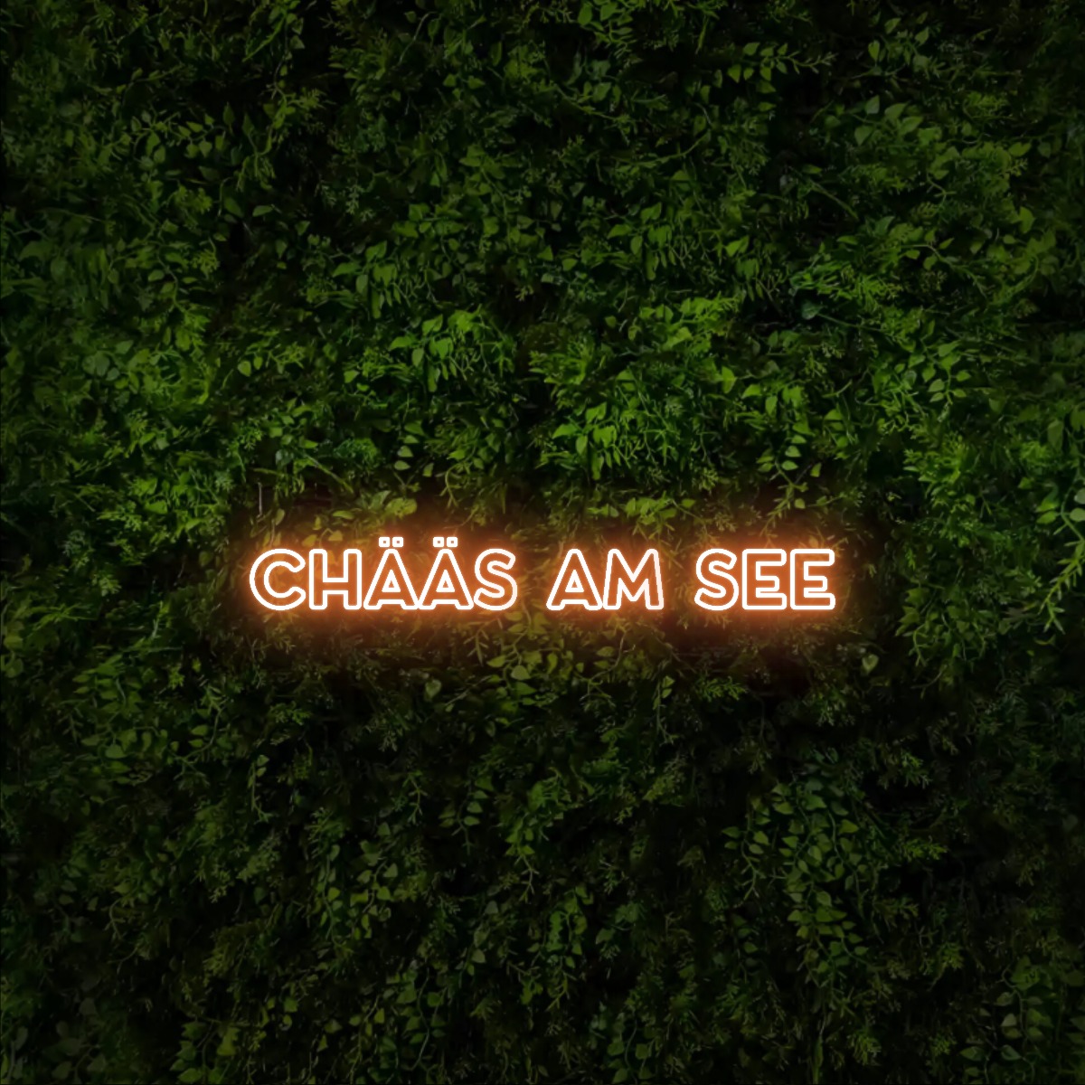 CHÄÄS AM SEE – Neon Sign