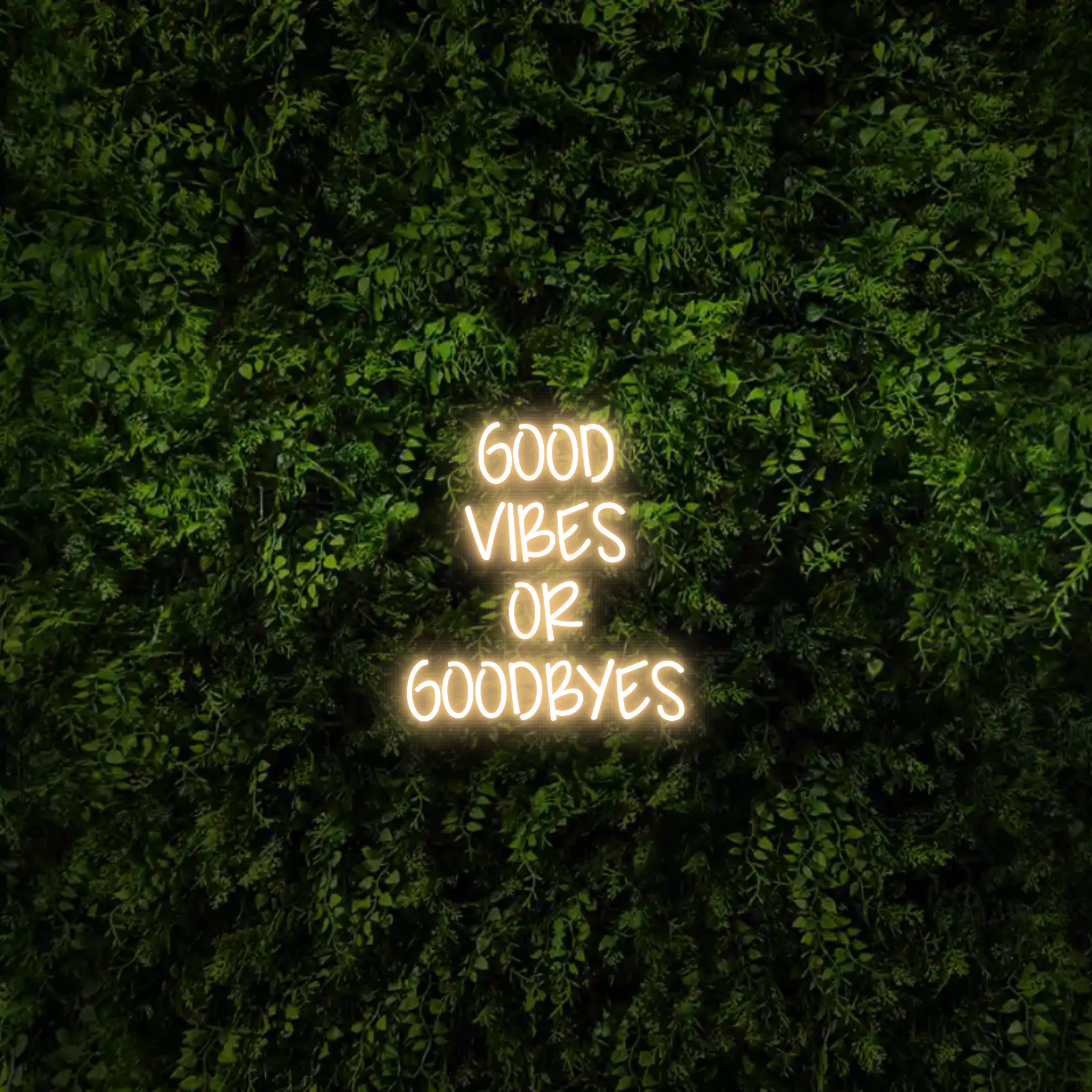 GOOD 
VIBES
OR
GOODBYES – Neon Sign